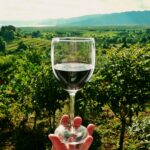 Kırılmaz Şarap Kadehi 16 cl