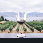 Kırılmaz Şarap Kadehi 16 cl